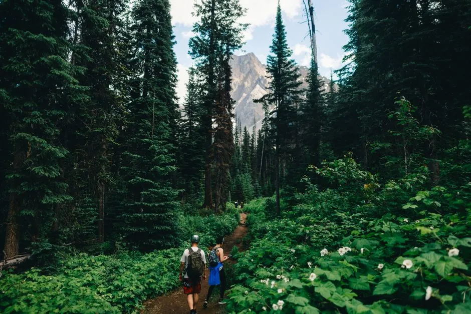 Hikers on a mountain trail in British Columbia