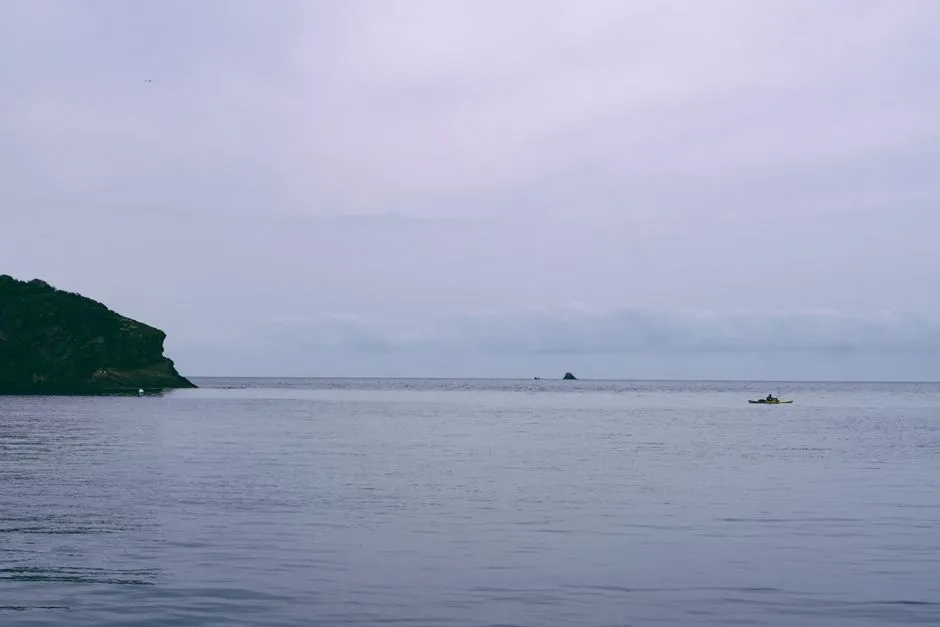 Sea kayakers paddling on calm ocean water